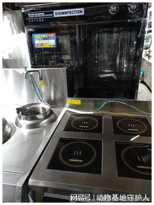 找到附近廚具市場,怎么快速尋找想要購買的冰柜烤箱洗碗機等設備